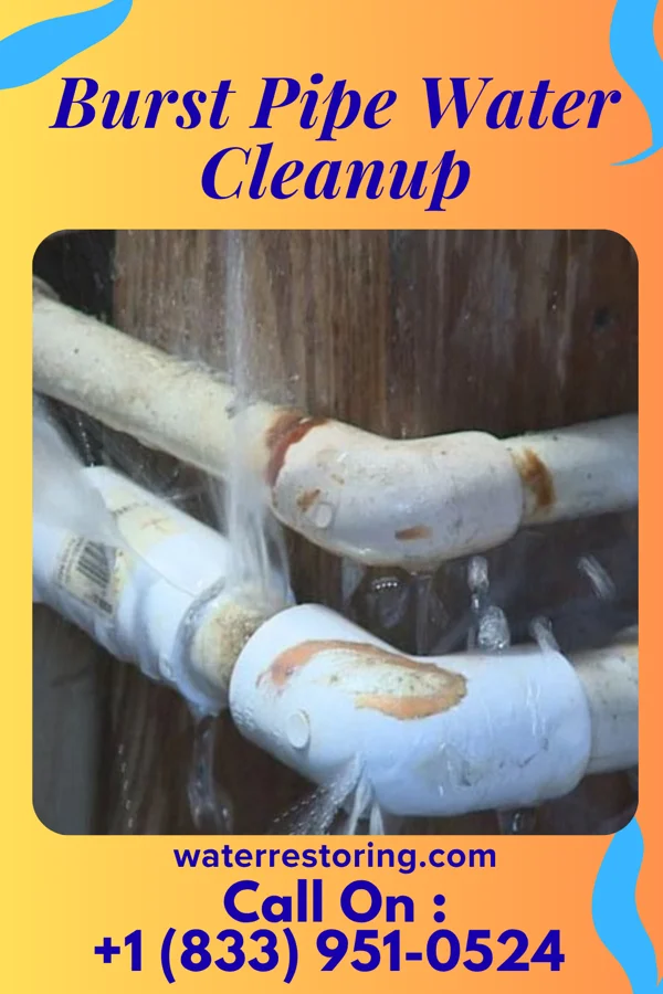 Burst Pipe Water Cleanup in Summerfield, MD