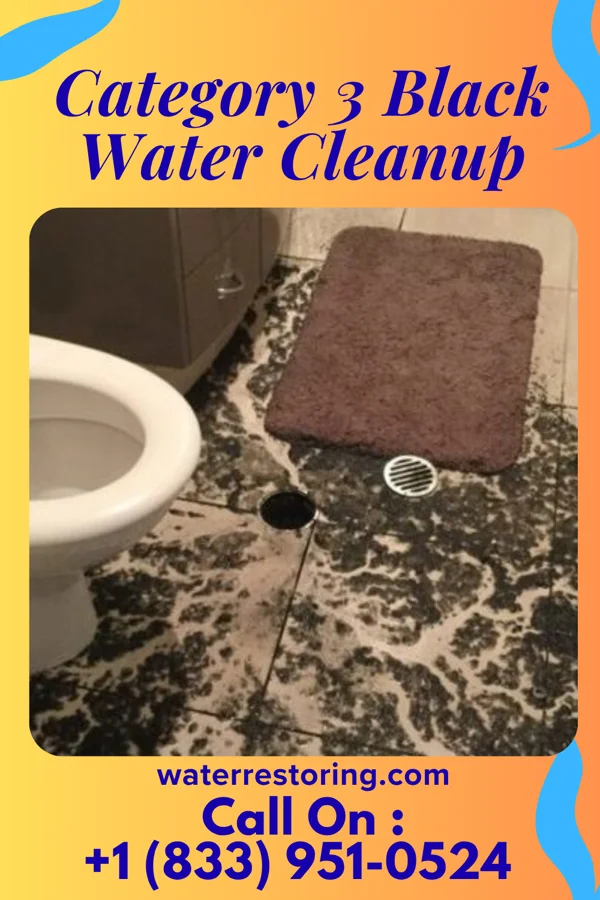 Category 3 Black Water Cleanup in Summerfield, MD